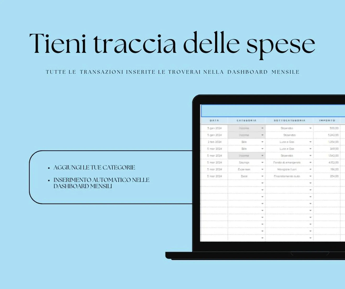 Gestione Budget (PRO)